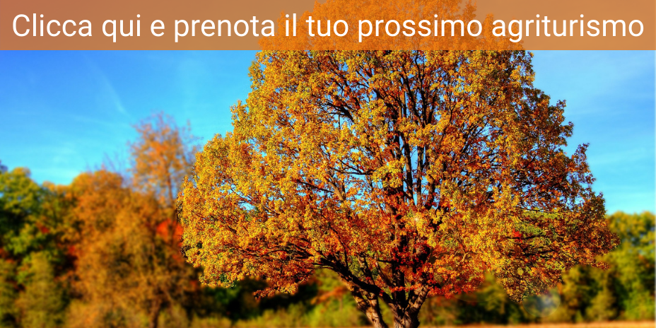 Destinazioni Dove Vedere Il Foliage In Italia